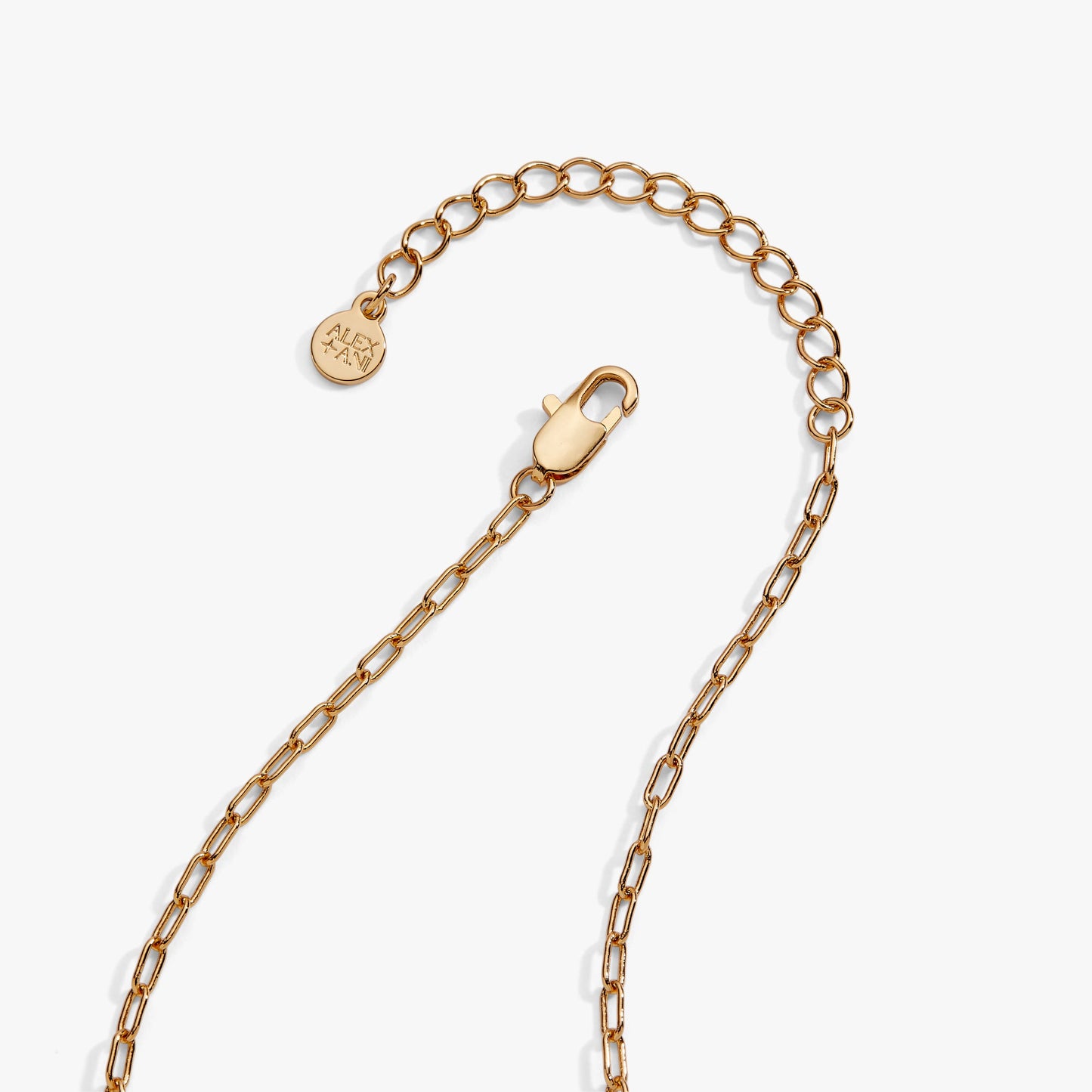 Pasta Girl 'Anything Is Pastable' Ravioli Locket Pendant