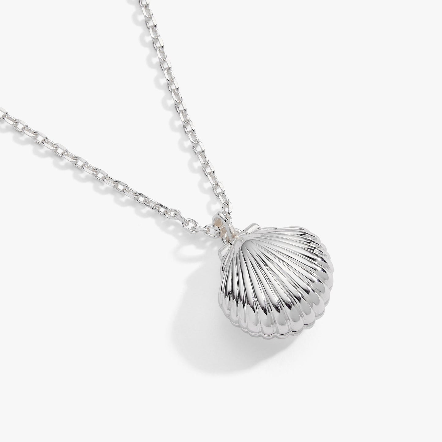 Salt + Sea 'Seashells Are Love Letters In The Sand' Seashell Locket Pendant