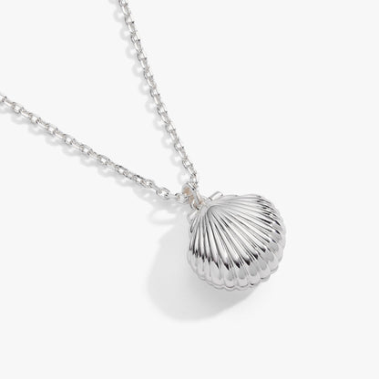Salt + Sea 'Seashells Are Love Letters In The Sand' Seashell Locket Pendant