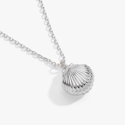 Salt + Sea 'Seashells Are Love Letters In The Sand' Seashell Locket Pendant